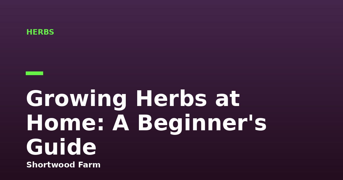 Growing Herbs at Home: A Beginner's Guide